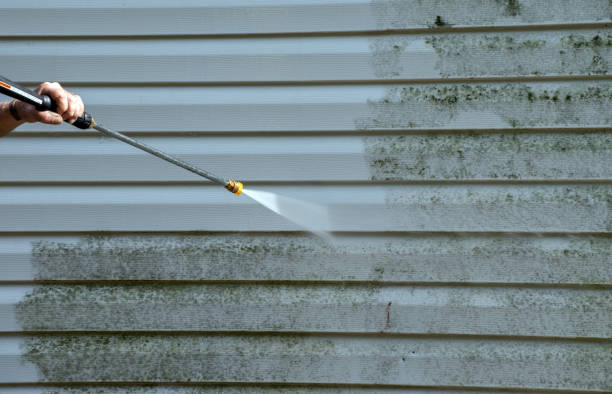 Best Attic Mold Removal  in San Fernando, CA