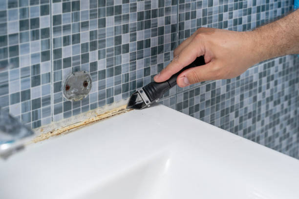 Best Home Mold Removal  in San Fernando, CA