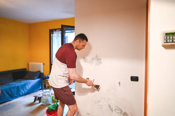 Best Residential Mold Removal  in San Fernando, CA